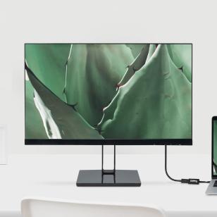 Plugable display adapter connecting to a monitor