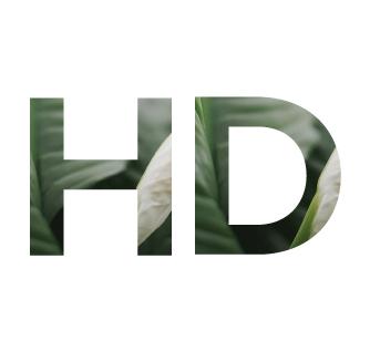 High Definition