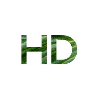 Connect your HDMI or DP equipped monitor, television, or projector to your laptop