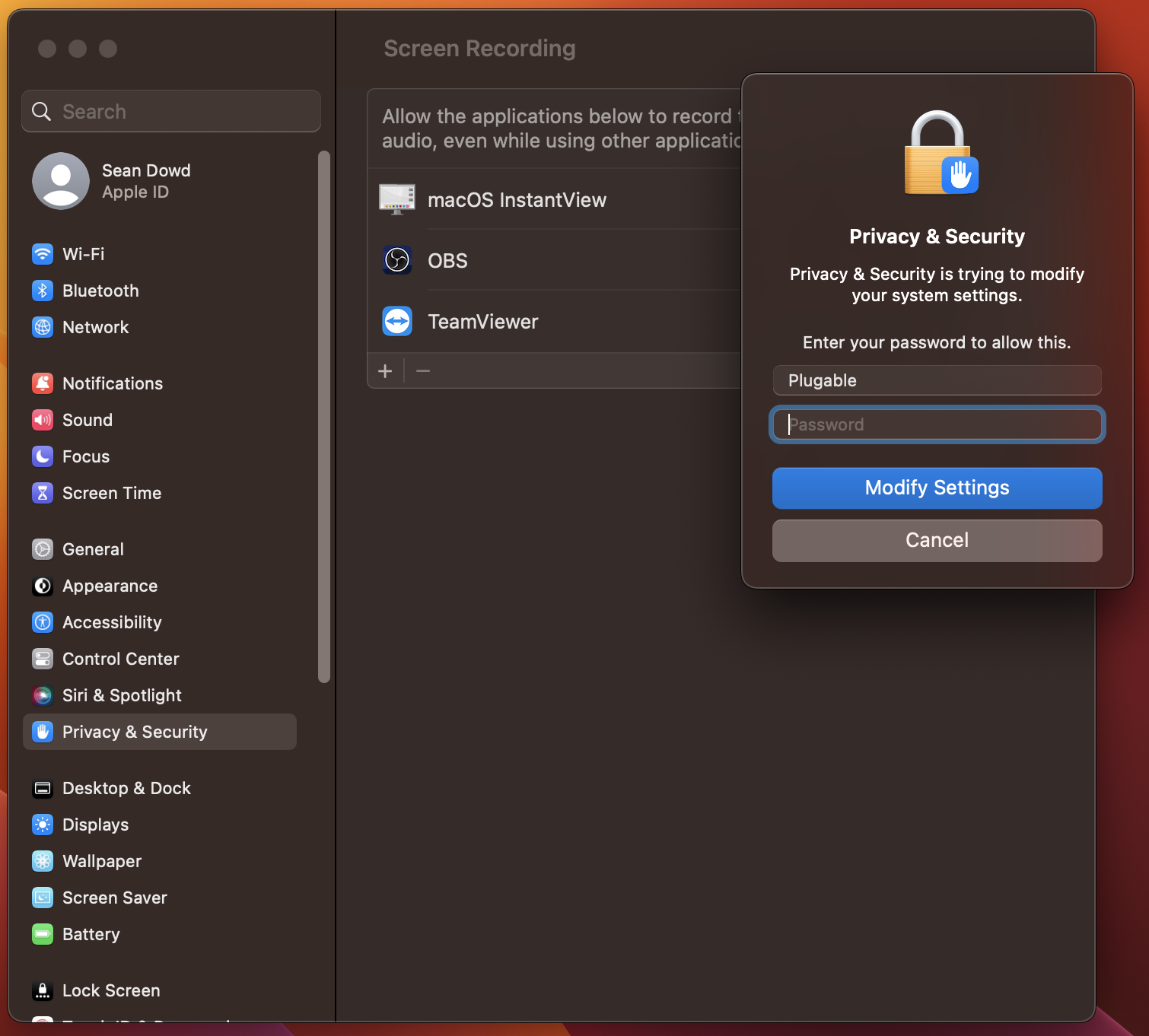 Grant permission to enable Screen Recording