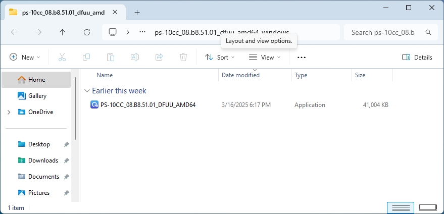 extracted firmware update utility